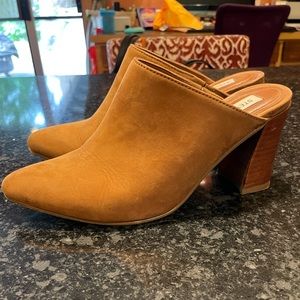 Steve Madden block heel mule